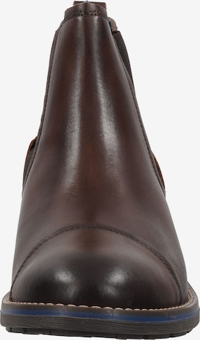 PIKOLINOS Chelsea boots in Bruin