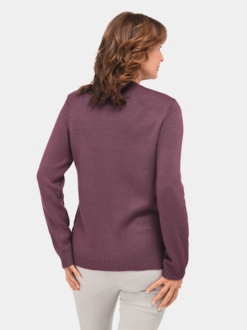 Goldner Pullover in Lila