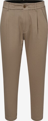 DRYKORN Pleat-Front Pants 'Chasy' in Beige: front