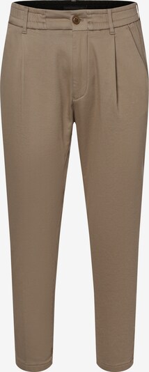 DRYKORN Pleat-Front Pants 'Chasy' in Beige, Item view