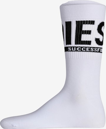 DIESEL - Calcetines en blanco: frente