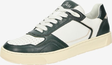 SIOUX Sneakers laag 'Tedroso-DA-700' in Groen: voorkant