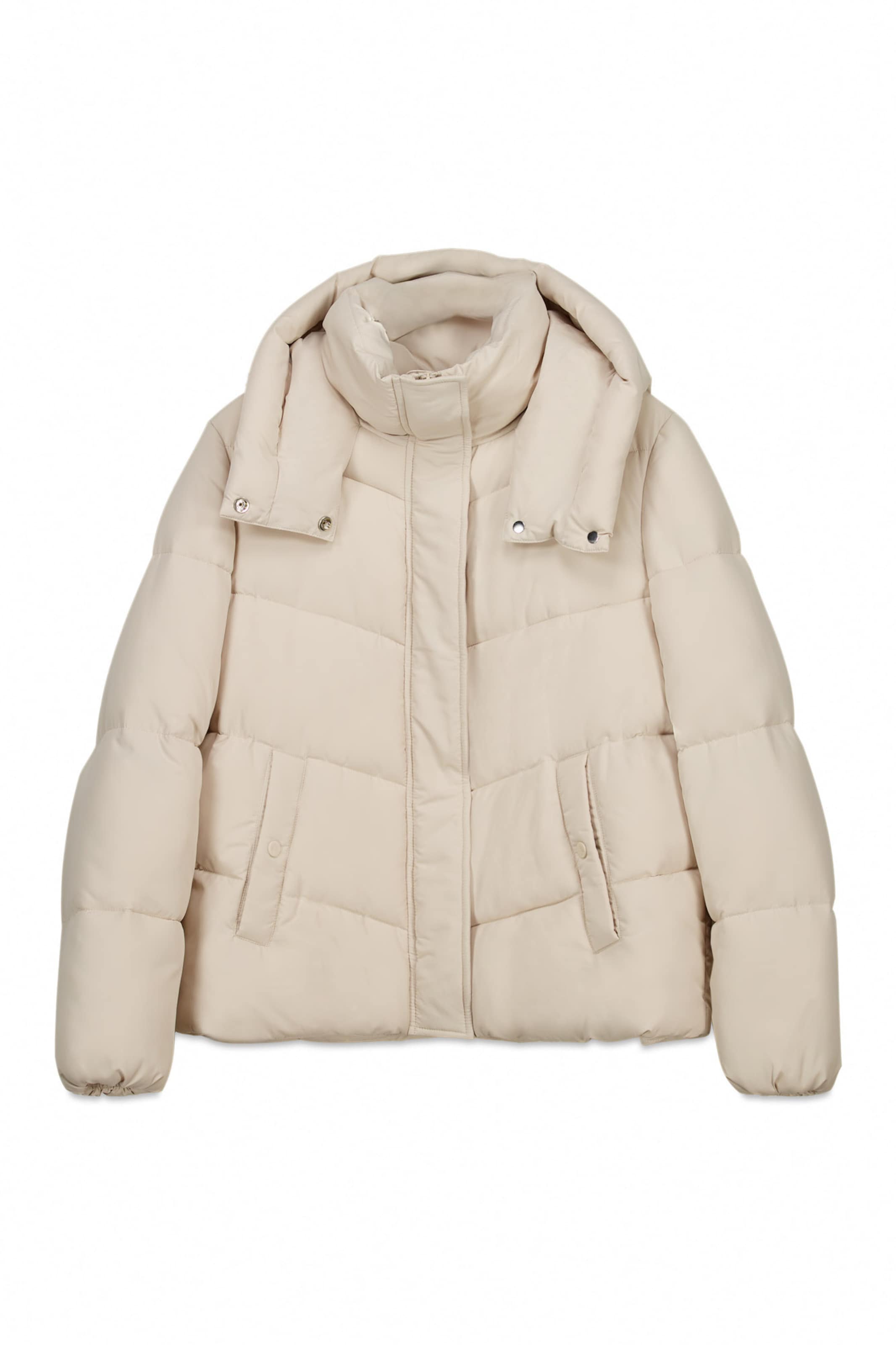 Springfield Winterjas in Beige: voorkant
