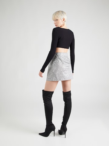 Envii Skirt in Silver