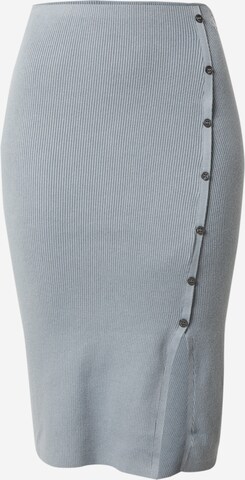 Calvin Klein Jeans Skirt in Grey: front