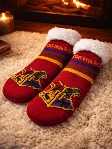 Harry Potter Socks 'Hogwarts' in Red
