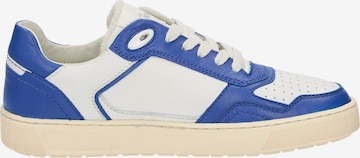 SIOUX Sneaker low 'Tedroso-DA-700' in Blau