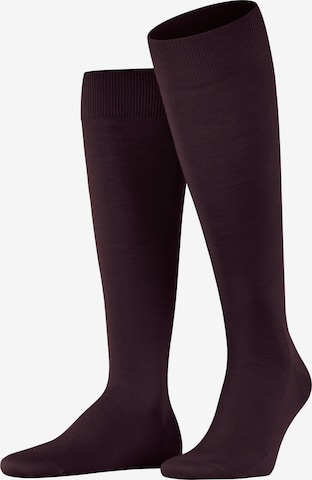 FALKE Knee High Socks 'ClimaWool' in Red: front