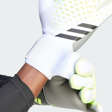 ADIDAS PERFORMANCE Athletic Gloves 'Predator League' in Grey