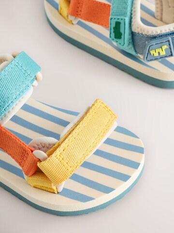 Next Sandale in Mischfarben