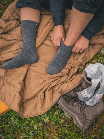 Chaussettes de sport DANISH ENDURANCE en gris : devant
