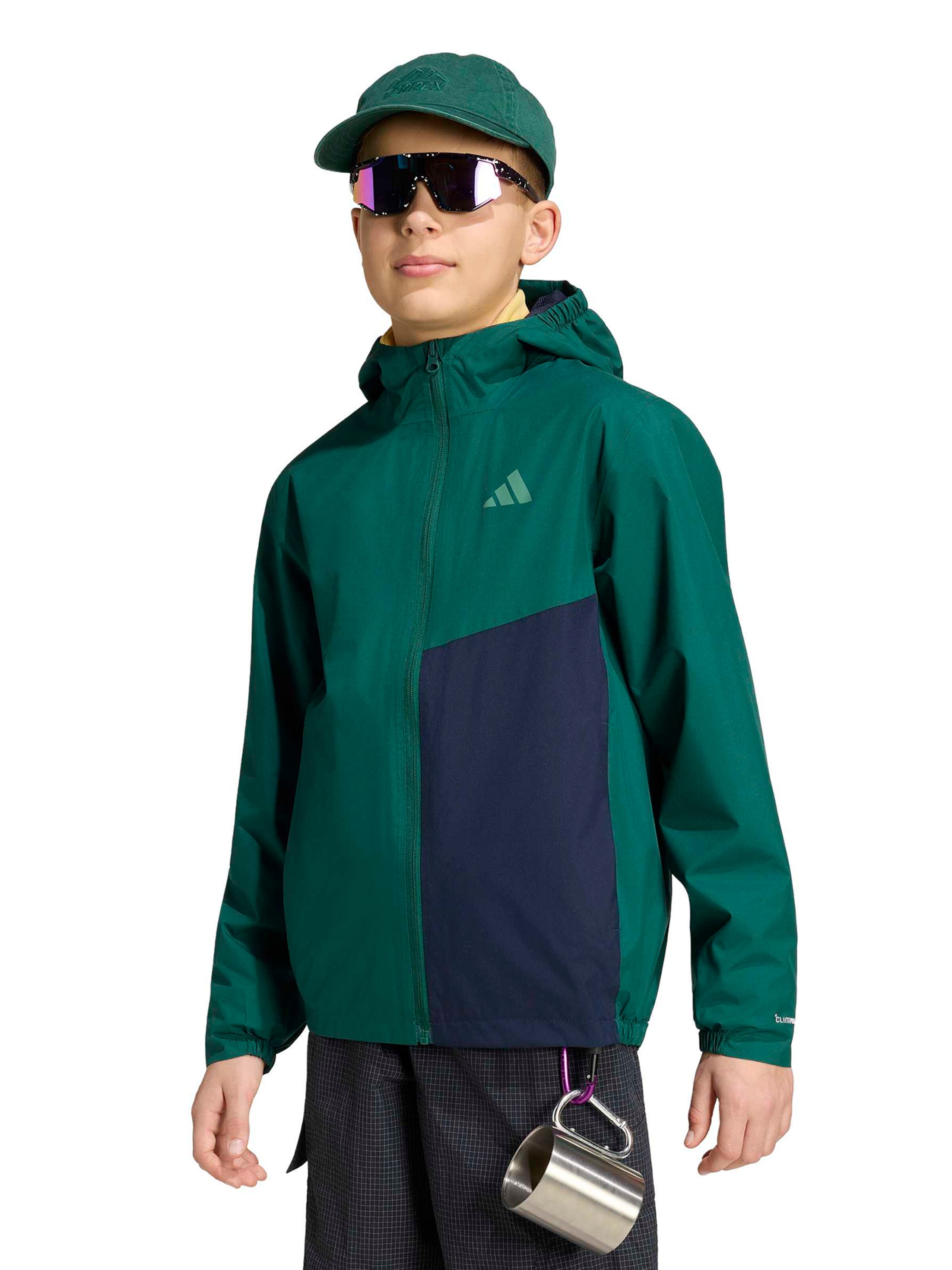 ADIDAS TERREX Outdoor jacket 'Multi 2' in Green: front