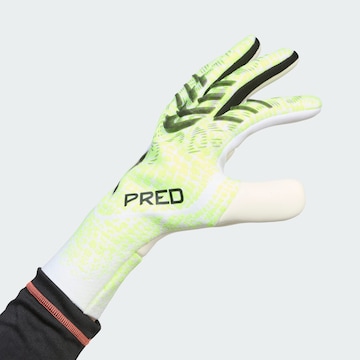 ADIDAS PERFORMANCE Sporthandschoenen 'Predator Pro' in Groen