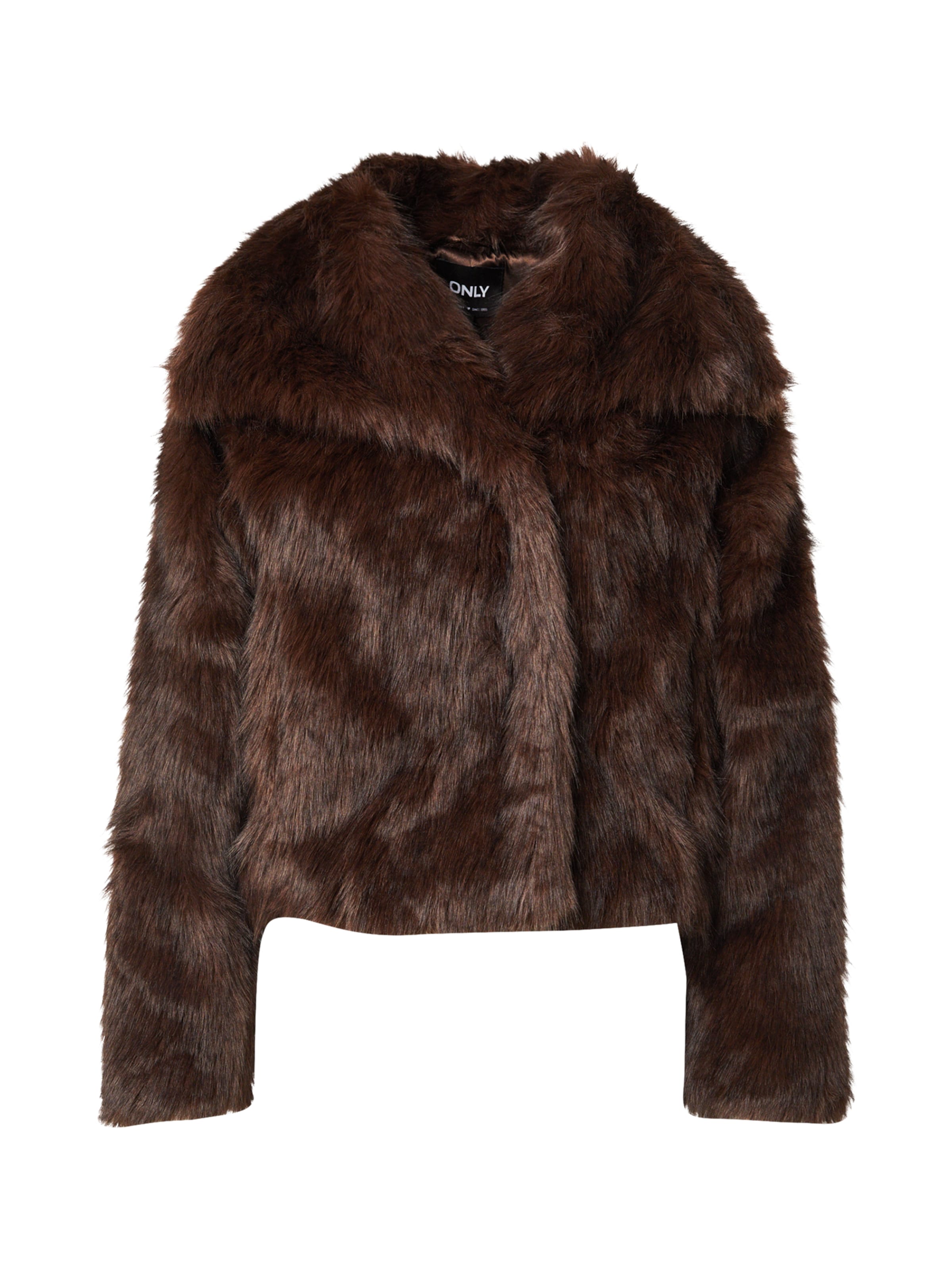 ONLY Between-Season Jacket 'ONLDawn' in Brown: front