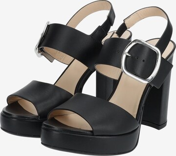 Nero Giardini Sandals in Black