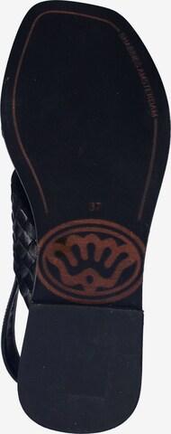 SHABBIES AMSTERDAM Sandals in Black