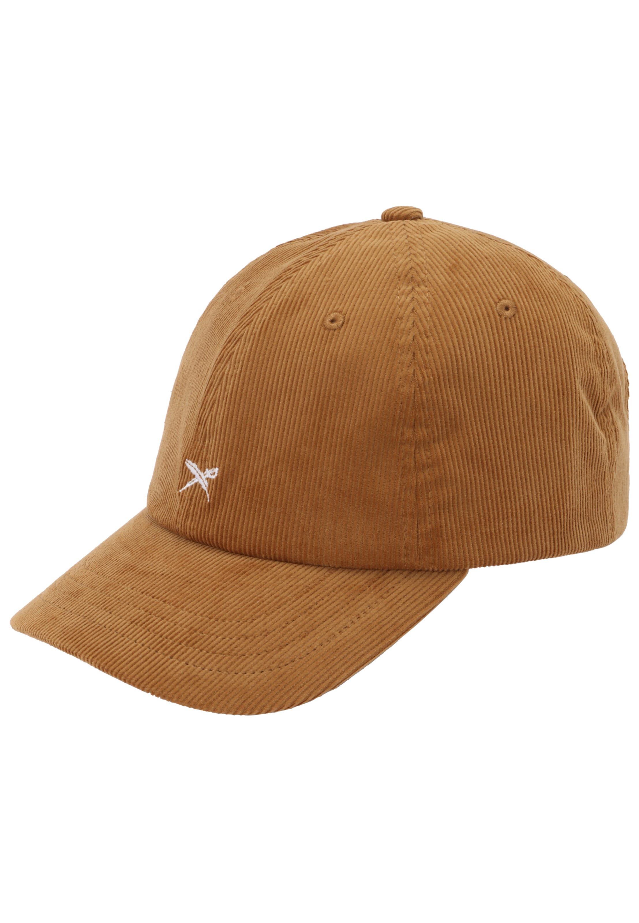 Iriedaily Cap 'Corvin' in Brown: front