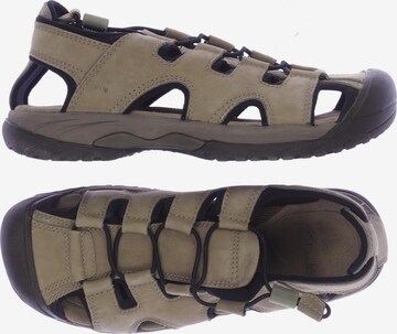 CLARKS Sandals & Slippers in 40,5 in Beige: front