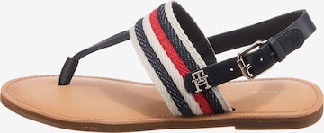 TOMMY HILFIGER - Sandalias de dedo en azul