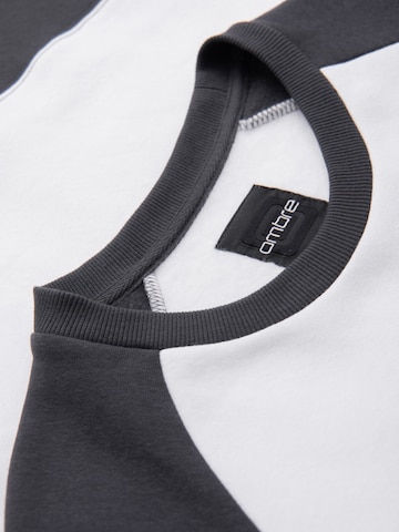 Sweat-shirt Ombre en gris