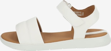 Sandales GEOX en blanc