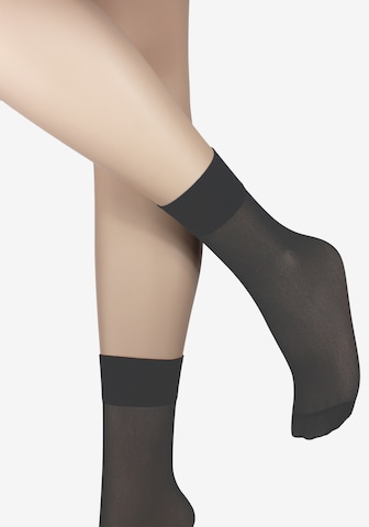 Esda Fine Stockings in Grey
