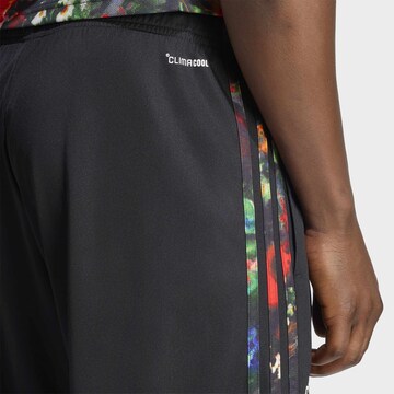 ADIDAS PERFORMANCE regular Παντελόνι φόρμας σε μαύρο