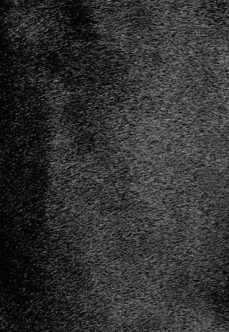 Gretchen Schultertasche 'Crocus Small' in Schwarz