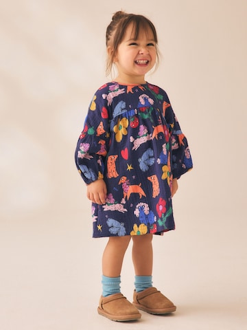 Next Jurk in Blauw