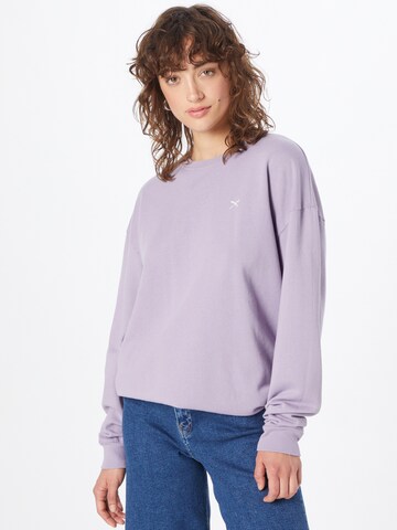 Iriedaily Sweatshirt 'Flagli' in Purple: front