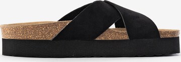 Bayton Mules 'Ajax' in Black