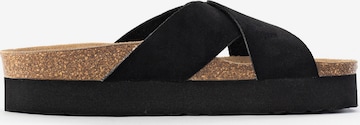 Bayton Mules 'Ajax' in Black