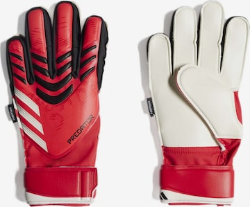 ADIDAS PERFORMANCE Sporthandschoenen 'Predator' in Rood: voorkant