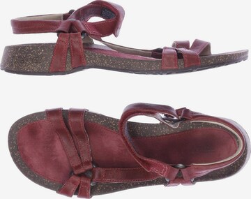 TEVA Sandalen 41 in Rot: predná strana