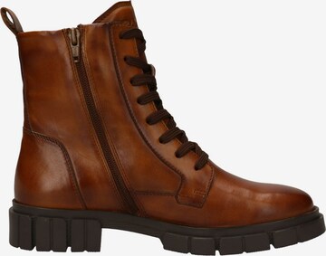 TT. BAGATT Lace-Up Ankle Boots in Brown