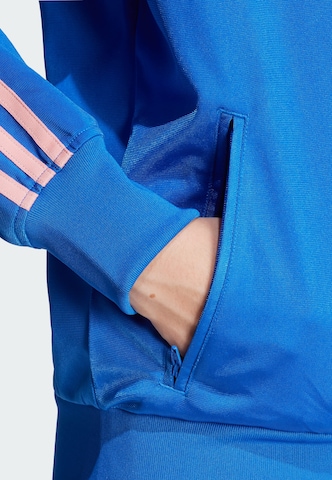 mėlyna ADIDAS ORIGINALS Džemperis 'Adicolor Classic Firebird'