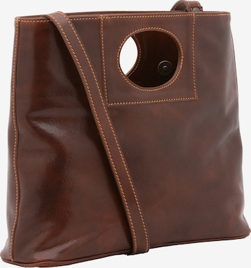 Viola Castellani Crossbody Bag in Brown: front