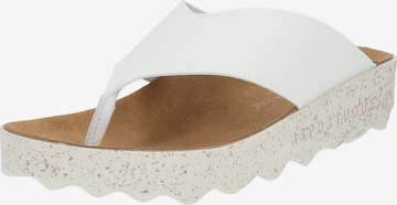 Asportuguesas T-Bar Sandals in White: front