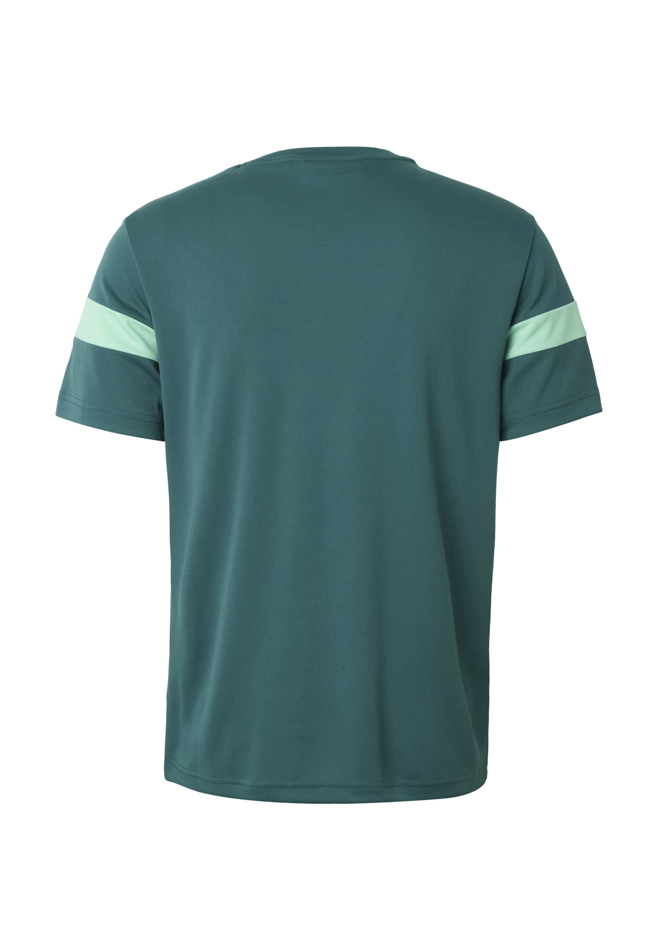 T-Shirt 'Leone' Sergio Tacchini en vert