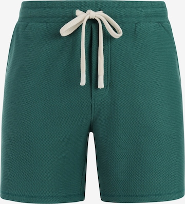 PROTEST Pants 'PRTGraig' in Green: front