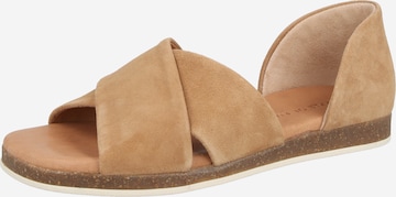 ruda Apple of Eden Sandalai 'CELINE 40': priekis