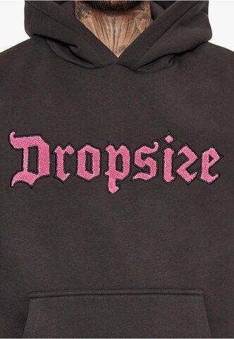 Dropsize Sweatshirt i brun