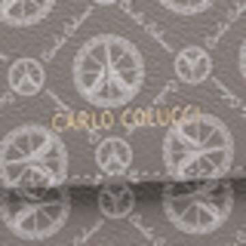 Carlo Colucci Case 'DeLaCruz ' in Grey