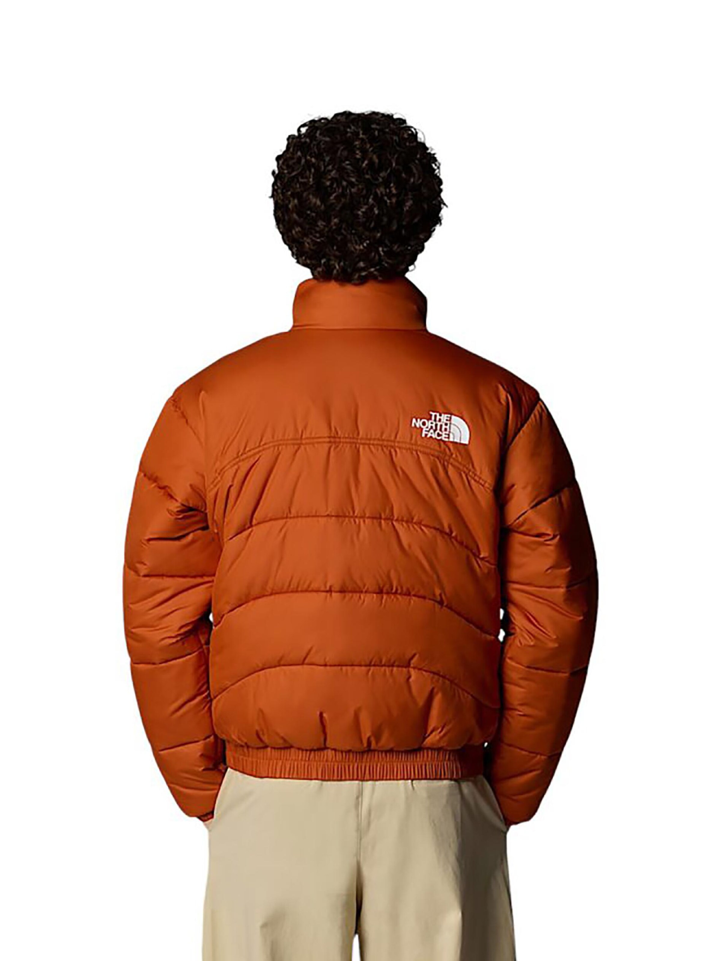 THE NORTH FACE Winter Jacket 'Summit Puffer 2000' in Brown