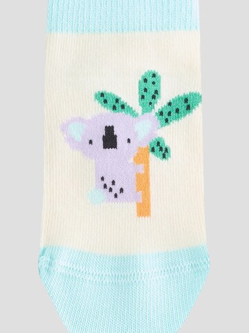 Next - Calcetines en Mezcla de colores