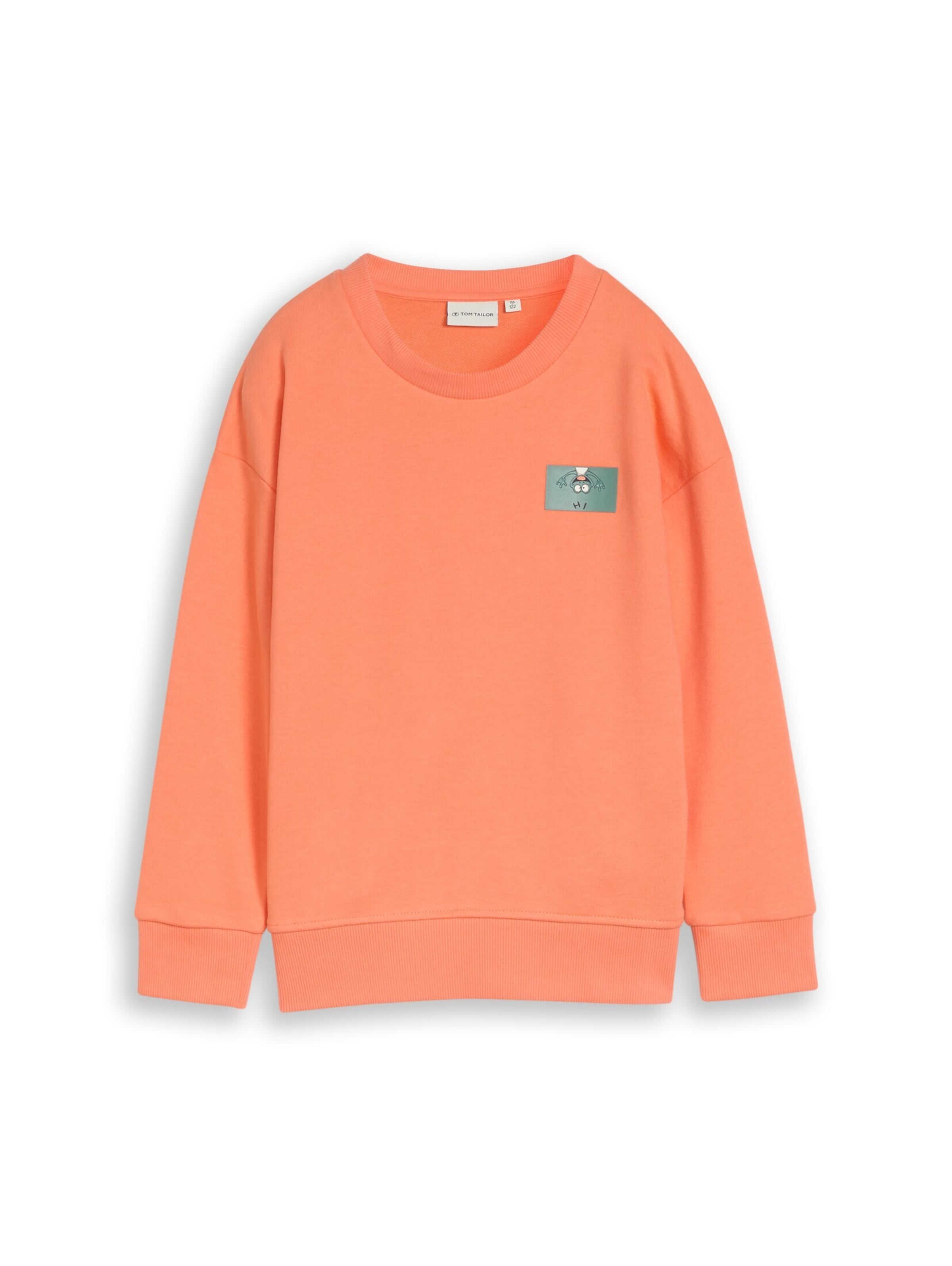 TOM TAILOR Sweatshirt in Orange: front