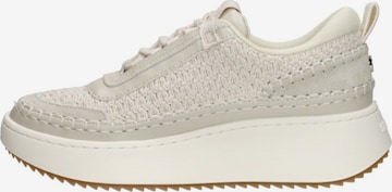 STEVE MADDEN Sneaker low 'Doubletake' in Weiß: Vorderseite