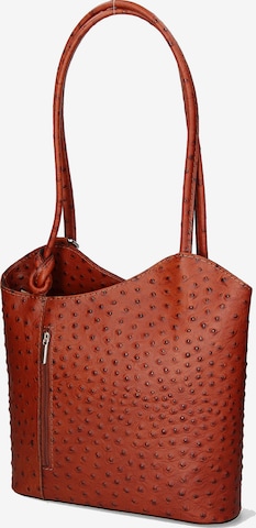 Sac à dos Gave Lux en marron : devant