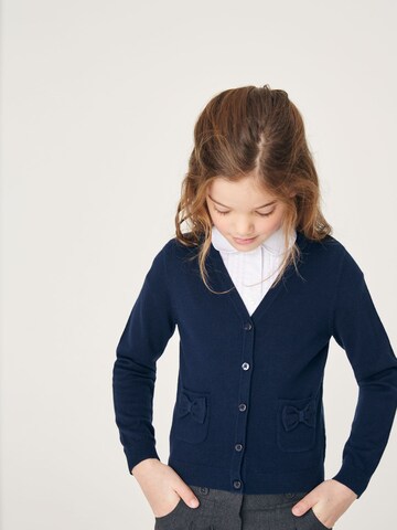 Next Gebreid vest in Blauw: voorkant