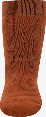 Chaussettes EWERS en marron